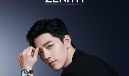 肖战代言人最新爆料,揭秘神秘爆料背后的精彩故事